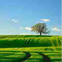 高﻿级‌语​音‍是‍什﻿么‍意﻿思‍